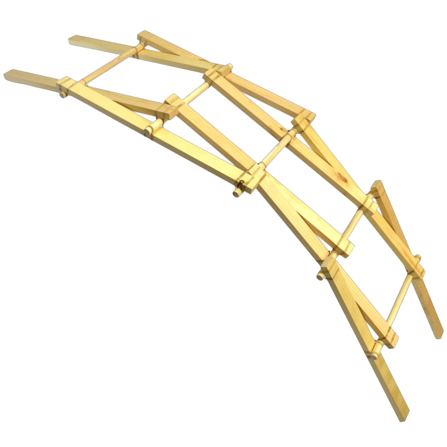 ELabs Garage Physics Leonardo Da Vinci Bridge Kit