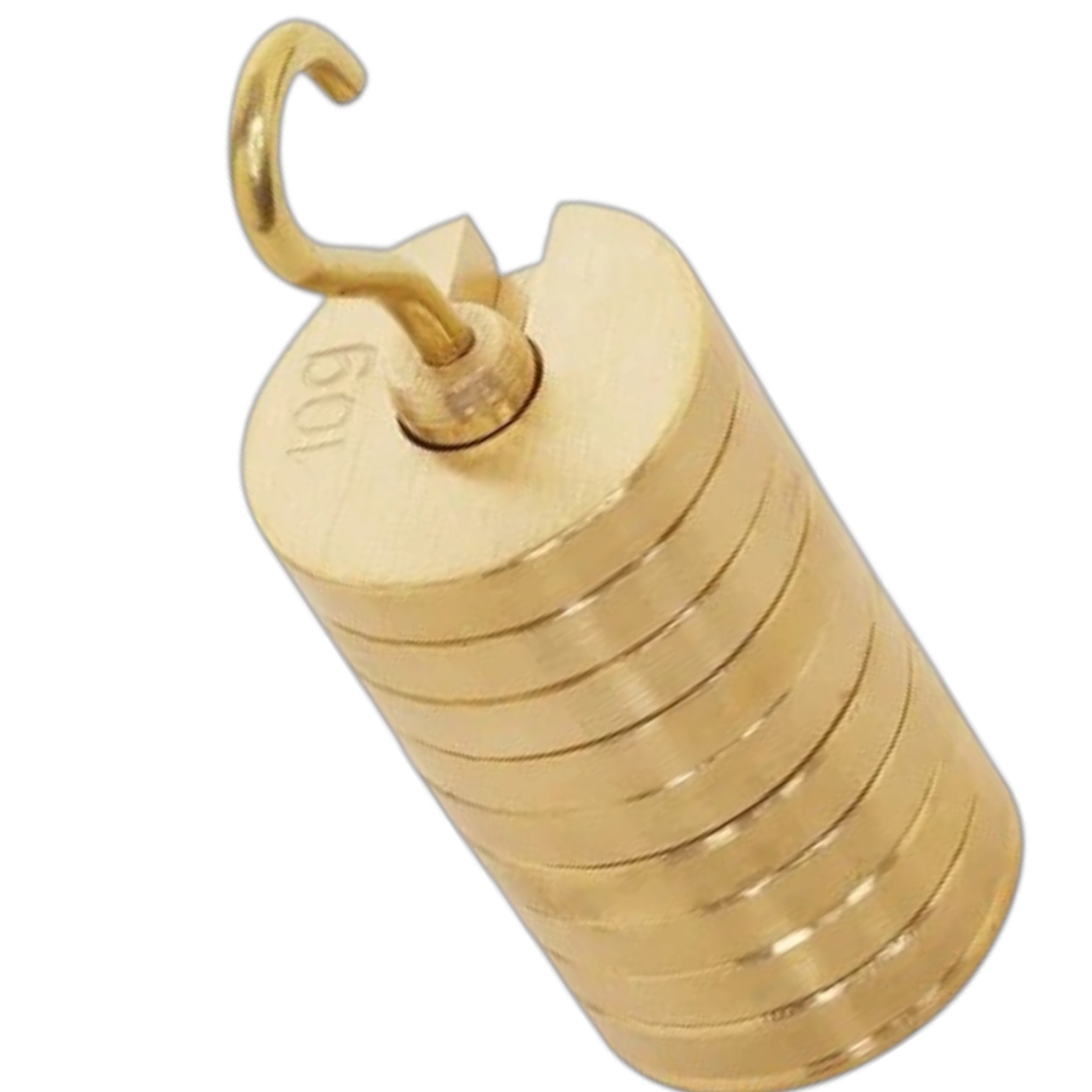 Slotted Weight Set, 100g - Brass - With Hook - Removable Weights - 10g each - ELabs